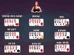 Tổng quan về binh xập xám ăn chi