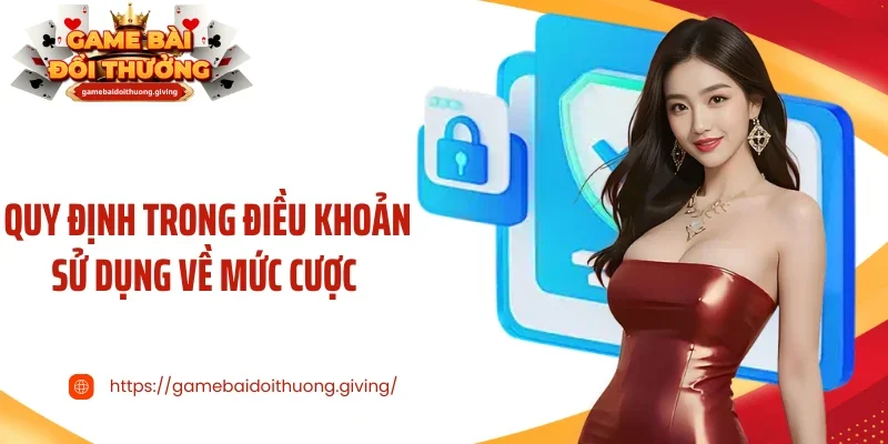Quy định trong điều khoản sử dụng về mức cược 